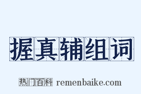 握真辅组词是什么意思的图片